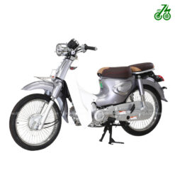 Xe máy 50cc Cub New Ally LE 2023