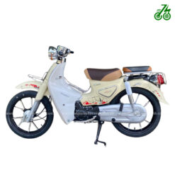Xe máy 50cc Cub Việt Thái VSX