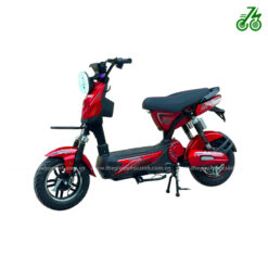 Xe đạp điện Giant ARENA RACE SPORT Khóa từ