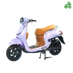 Xe ga 50cc Ally Golden 2023