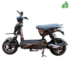Xe đạp điện ARENA SPORT