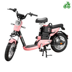 Xe đạp điện Nijia Winter Bull Phanh Đĩa