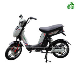 Xe đạp điện PEGA Cap AT