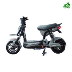 Xe đạp điện PEGA M133