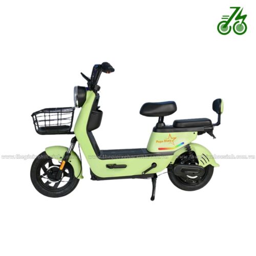 Xe đạp điện PEGA Star