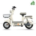 Xe đạp điện