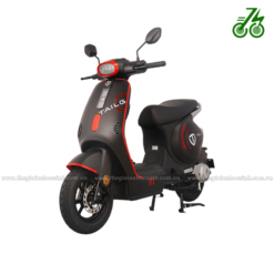 Xe điện Tailg GR58